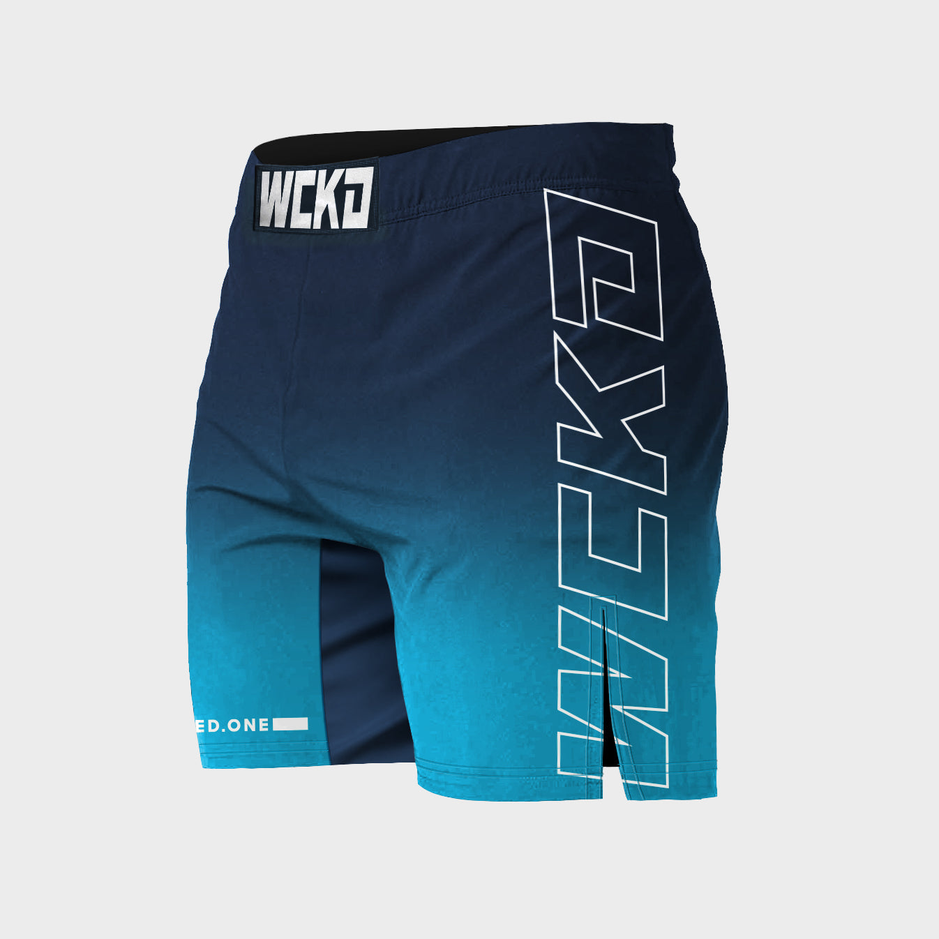 MMA SHORTS COURT RAW BLUE